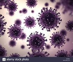 Avian influenza, known informally as avian flu or bird flu, is a variety of influenza caused by viruses adapted to birds. Influenza Virus H1n1 Stockfotografie Alamy