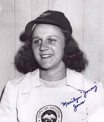 Other Baseball Leagues (Negro League, AAGPBL, NGBL etc..)