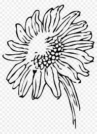 Free Free White Sunflower Clipart Png SVG PNG EPS DXF File