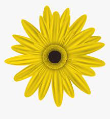 By continuing to browse you are agreeing to our use of cookies and other tracking technologies. Free Png Yellow Flower Png Images Transparent Transparent Background Pink Flower Clipart Png Download Kindpng