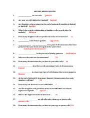 Answer key for meiosis worksheet: Is The Male Gamete Sperm 29 What Is The Genetic Relationship Of Daughter Cells Course Hero