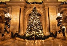 Lenox radiant light lit tree teardrop. Wallpaper City Night Winter Evening Christmas Tree Library Holiday Christmas Lights Happy Fir Public Event York Sixth Light Tree New Glow Season Xmas Lighting December Holidays Ornaments Hall Nyc Rockefeller Greetings