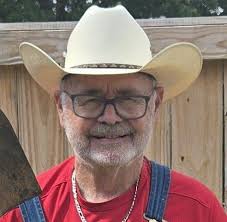 Have you noticed a drop in bird population in your yard?