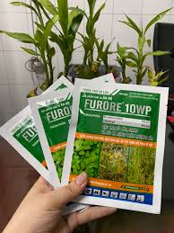 Furore 10WP