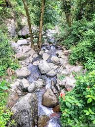 I waited for about 20 minutes until people were off the rocks in the background. Exploring El Yunque National Forest Puerto Rico S Rainforest Hello Little Home