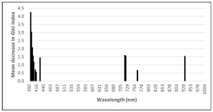 Image result for Plinthus karooicus