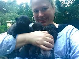 Everyday Stories: A Blog — Kim J. Gifford