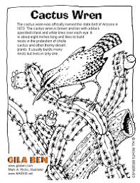 The cactus wren (campylorhynchus brunneicapillus) is a species of wren endemic to the deserts of the southwestern united states and northern and central mexico. Arizona State Bird Cactus Wren Coloring Page