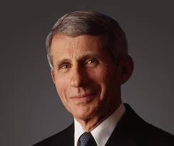 This twitter is purely for entertainment & stanning purposes. Dr Anthony Fauci