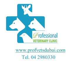 We did not find results for: Vetcare Veterinary Medical Centre Home Facebook