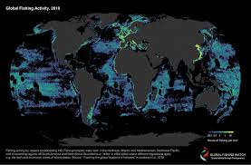 Acheter sa carte de pêche en ligne. Carte Mondiale De La Peche La Plus Precise Jamais Realisee Une Empreinte Insoutenable