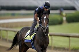The galway hurdle is the most prestigious handicap hurdle race in irish horse racing. Asmussen S Entry Prone To Fast Starts