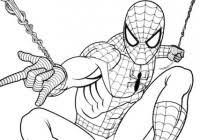 Disegni Di Spiderman Da Colorare Immagini Da Stampare