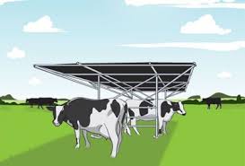 Maybe you would like to learn more about one of these? Keep Your Cattle Cool In The Summer By Building A Shade Shelter That You Can Easily Move Around The Field Livestock Shelter Cattle Farming Cattle Ranching
