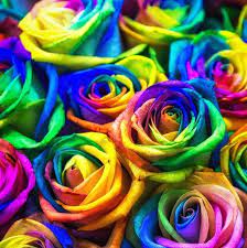 Pin On Flower Clipart