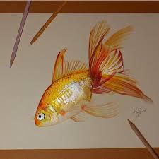 The Art Lovers On Instagram Wonderful Gold Fish Drawing By Artcisne Tag Your Artwork With Theartlovers For A Chance Fish Drawings Goldfish Art Fish Art