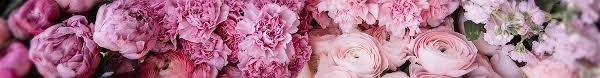 Sending flowers to your favorite baseball player at spring training in surprise has never been easier. Local Flower Delivery To Surprise Az Phoenix Florist