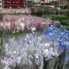 Näytä lisää sivusta leroy merlin facebookissa. Photos At Leroy Merlin Cluj Napoca JudeÈul Cluj