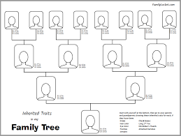 We've designed our charts to be beautiful works of art that put your family on display at the center of your home, in a perfect marriage of form and. Inherited Traits Family Tree Worksheet Family Locket