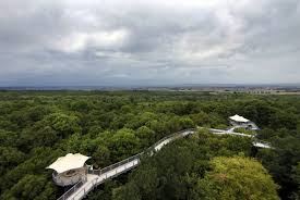 Baumkronenpfad Urlaub Reisen Und Hotels In Thuringen Urlaub Reisen Urlaub Reisen