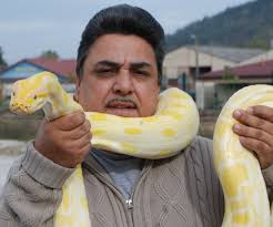 Anacondas, iguanes, : deux jours pour approcher des reptiles hors du commun