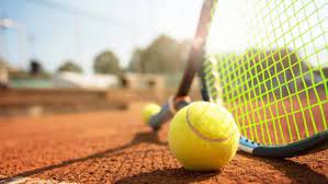 The players must hit the ball over the net and into a marked area on the other side for play to continue. Tenis Origen Historia Y Tenistas Mas Importantes