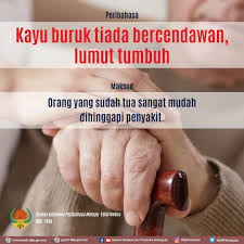 Ibu bapa berperanan memberikan kasih sayang yang secukupnya kepada anak. Kkmalaysia åœ¨ Twitter ä¸Š Kepada Mereka Yang Merentas Negeri Untuk Balik Kampung Dan Berjumpa Ibu Bapa Ingat Peribahasa Ini Warga Emas Adalah Golongan Berisiko Tinggi Terutama Berpenyakit Kronik Jika Tak Dapat Elak Ambil