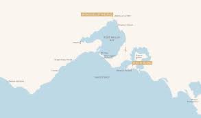 Phillip Island Helicopter Penguin Tours Melbourne