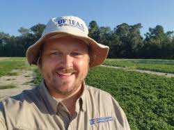 New Fusarium Wilt Risk Calculator for Watermelons