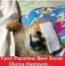 Nasrettin Hoca Panosundaki Pin