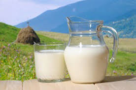 Hasil gambar untuk susu kambing