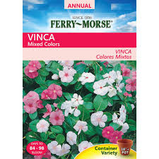 We did not find results for: Ferry Morse Vinca Mixed Colors Seed 1111 The Home Depot