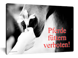 Hier finden sie weitere bußgelder. Weideschild Pferde Futtern Verboten Equimea Boxenschilder