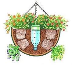 Gardening Plants Hanging Baskets Planting Flowers