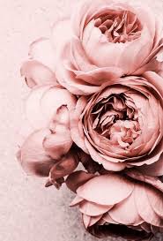 Every xbox profile has a gamerpic, the picture shown next to your gamertag. Nermin Elfiky Nerminelfiky Profile Pinterest