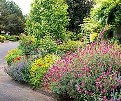 Easy Street Side Garden Plan Side Garden Garden Planning Front Yard Garden