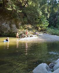 We did not find results for: From Whales To Wildflowers 5 Spring Trips In The Redwoods Save The Redwoods League