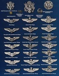 Pin By Melina Russo On Military United States Air Force Military Insignia Air Force