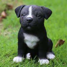 Pin En Blanco Negro