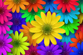 Then decorate your desktop with this colorful flower screensaver and make your life brighter. Free Download Colorful Flower Ogq Backgrounds Hd 1920x1280 For Your Desktop Mobile Tablet Explore 69 Colorful Flower Wallpaper Bright Colorful Wallpaper Bright Colorful Backgrounds Wallpaper Beautiful Colorful Flowers Wallpaper