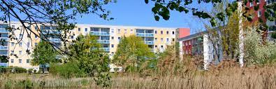 In sassnitz ist die heimat tropischer schmetterlinge.die wirtschaft von sassnitz wird seit langem von hafenwir Wohnungsbaugenossenschaft Sassnitz Eg Auf Der Insel Rugen