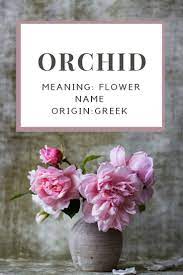 Baby Girl Name Orchid Meaning Flower Name Origin Greek Baby Girl Names Girl Names Names