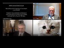 Another human on the call, jerry l. Lawyer Fails To Turn Off Cat Filter During Zoom Call Lawyer Struggles To Remove Cat Filter During Virtual Court Hearing Hilarious Zoom Call Goes Viral Watch Trending Viral News