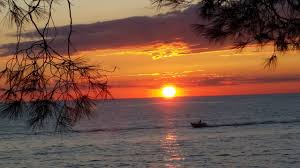 Island in Koversada is a little paradise - Review of Campsite Naturist Park  Koversada, Vrsar, Croatia - Tripadvisor