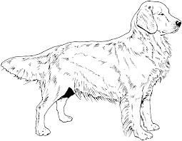 Free Printable Coloring Pages Puppy Coloring Pages Dog Coloring Page Dog Coloring Book