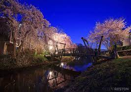 Photo Gallery Reston In Spring Bloom Reston Photo Event Rental