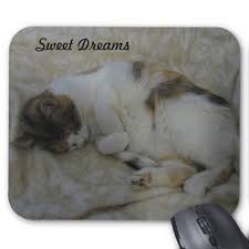All things tom and jerry,real cats and mice,art with cat and mice,jewelry,art,handbags,clothes, and anything catty and mousey things. Sleeping Cat Sweet Dreams Mouse Pads Cats Cat Mouse Mouse Pad
