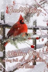 Happy Rising Good Morning Christmas Good Morning Winter Images Good Morning Winter Sending you our best wishes for better days ahead in 2021! happy rising good morning christmas