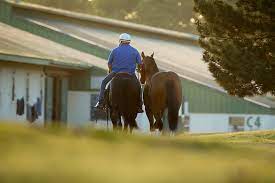Retiring Racehorses Factors To Consider Asset Publisher