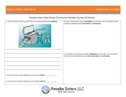 Displaying top 8 worksheets found for amoeba sisters meiosis. Study Documents Essay Examples Research Papers Course Notes And Other Studyres Com Studyres